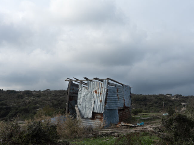 Νίκος Στάικογλου