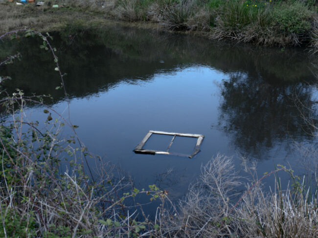 Νίκος Στάικογλου