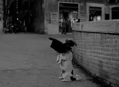 Vittorio de Sica - Umberto D.