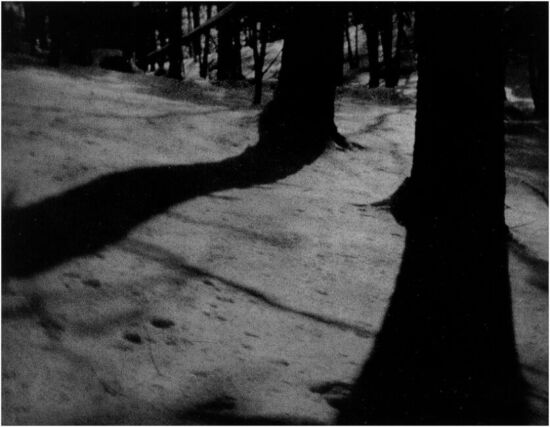 Alvin Langdon Coburn