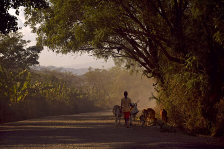 Αθηνά Πέρκα