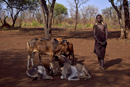 Αθηνά Πέρκα