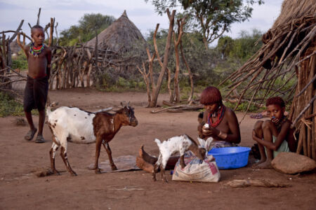 Αθηνά Πέρκα