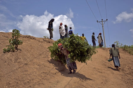 Αθηνά Πέρκα