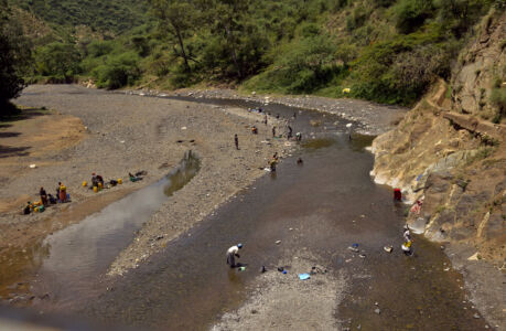 Αθηνά Πέρκα