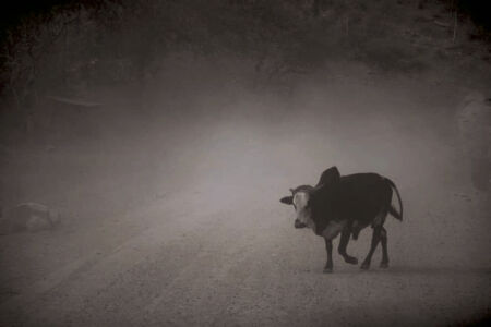 Αθηνά Πέρκα