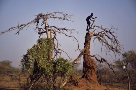 Αθηνά Πέρκα