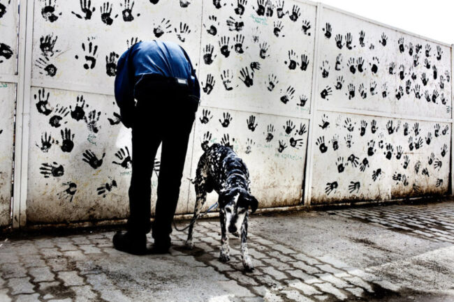 Λουκάς Βασιλικός