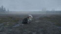 Roy Anderson - About Endlessness