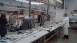 Roy Anderson - About Endlessness