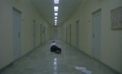 Roy Anderson - Songs from the Second Floor