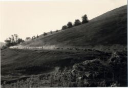 Χρήστος Τσέλιος