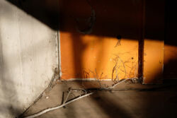 Ηλίας Κεσίσογλου