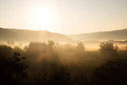 Ηλίας Κεσίσογλου