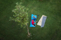 Άγγελος Μίχας