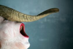 ΕΡΙΝΑ ΠΑΥΛΙΔΑΚΗ