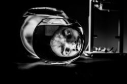 ΙΩΑΝΝΗΣ ΑΒΡΑΜΙΔΗΣ