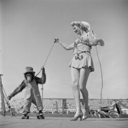 Στάνλεϊ Κιούμπρικ