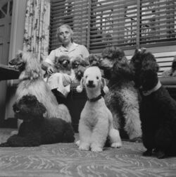 Στάνλεϊ Κιούμπρικ