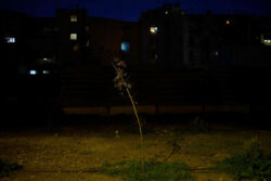 Ναυσικά Χαραλαμπίδου