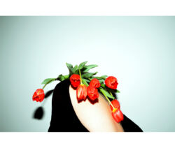 Αριάδνη Φυτοπούλου