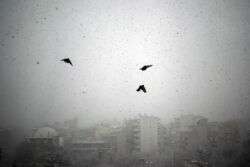 Ναυσικά Χαραλαμπίδου