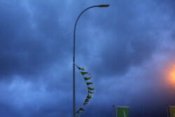 Ναυσικά Χαραλαμπίδου