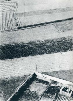 László Moholy-Nagy