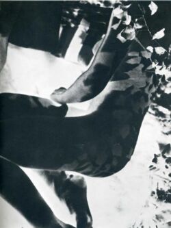 László Moholy-Nagy