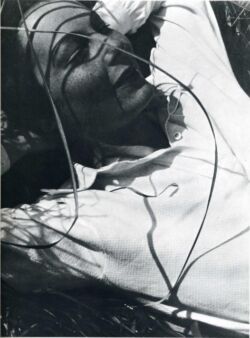 László Moholy-Nagy