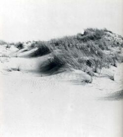 László Moholy-Nagy