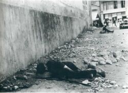 László Moholy-Nagy