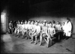 László Moholy-Nagy