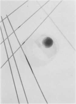 László Moholy-Nagy