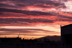 Νικόλαος Παπαδάκος