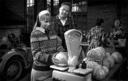 Aki Kaurismaki - Juha