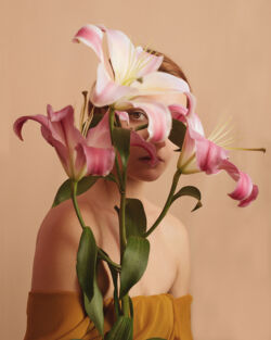 Φωτεινή Ζαγλάρα - Lilium