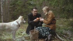 Aki Kaurismaki - The Man Without A Past