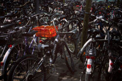 Αλεξάνδρα Manston