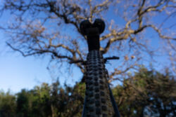 Δέσποινα Ζωγραφάκη