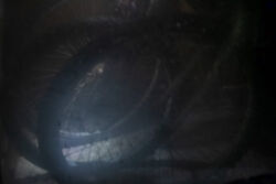 Ιωάννα Καλούδη