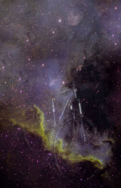 Δέσποινα Μαλλιαρού