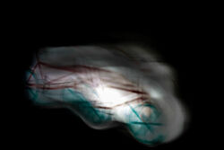 Δέσποινα Πλαζομίτη