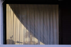 Βούλα Φιλιππάκη