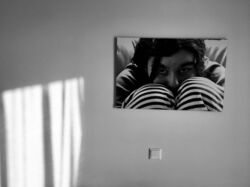 Γιάννης Γιαπράκης