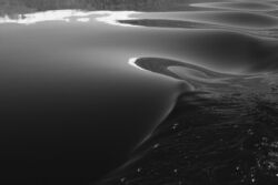 Γιάννης Γιαπράκης