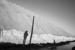 Γιάννης Γιαπράκης