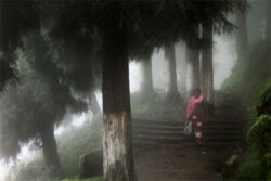 Christophe Jacrot