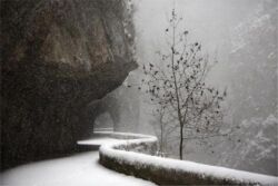 Christophe Jacrot