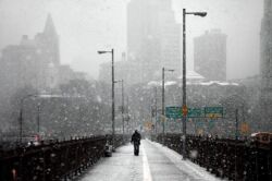 Christophe Jacrot